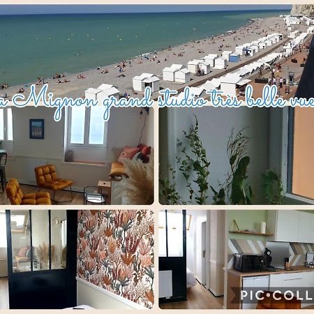 Villa Mignon Grand Studio Vue Mer 메르레뱅 외부 사진
