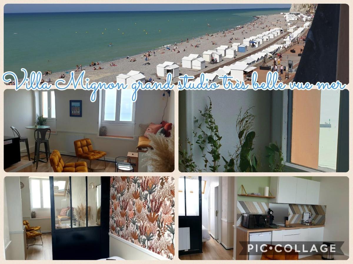 Villa Mignon Grand Studio Vue Mer 메르레뱅 외부 사진